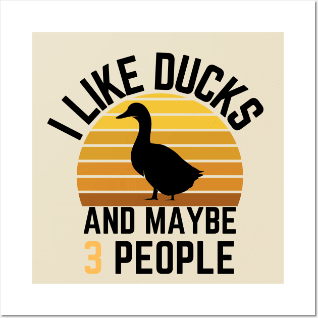 I like ducks and maybe 3 people: Sunset Retro Vintage Wall Art by GoodWills